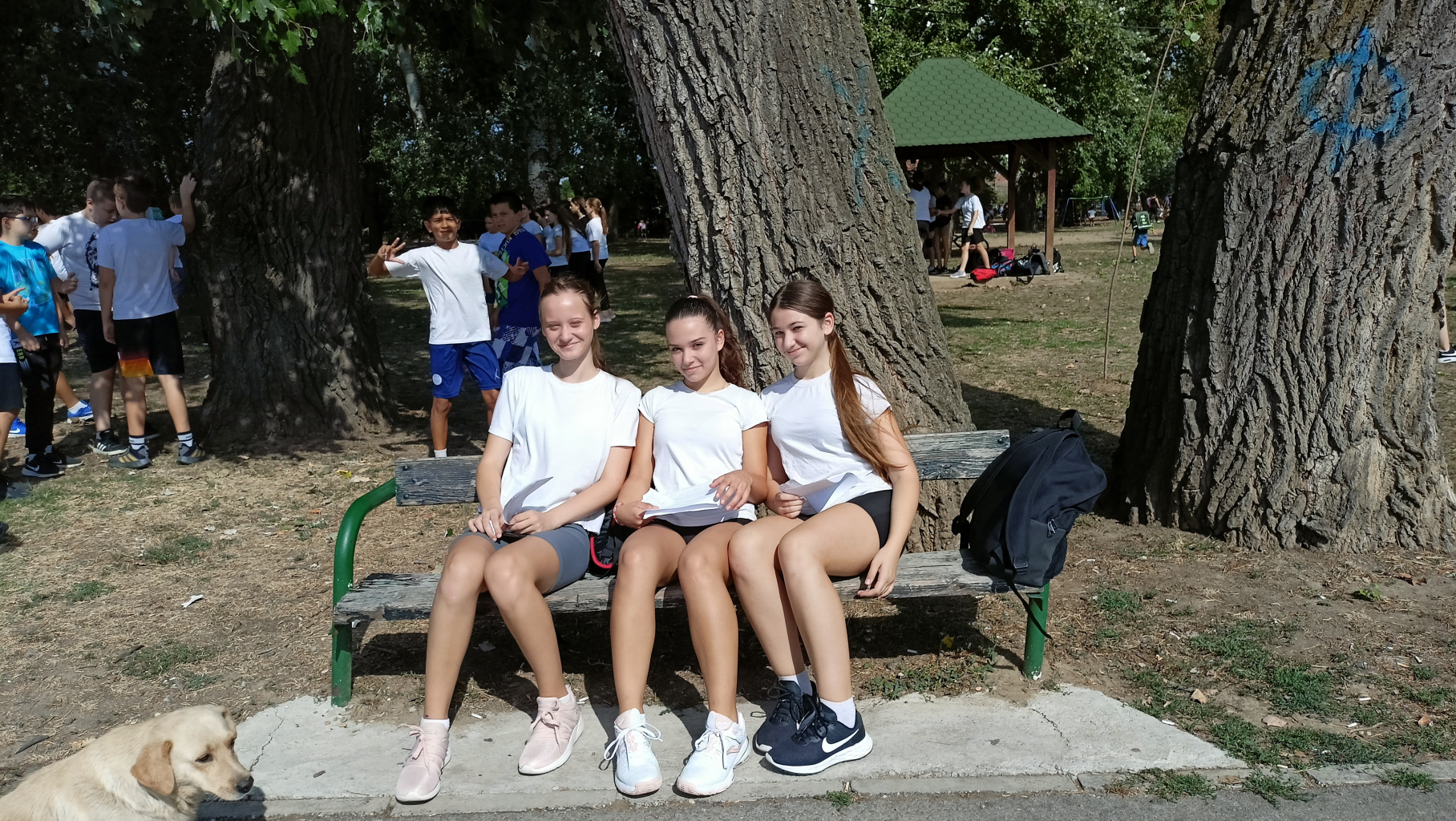 IMG20230922110505.jpg IMG20230922110505.jpg